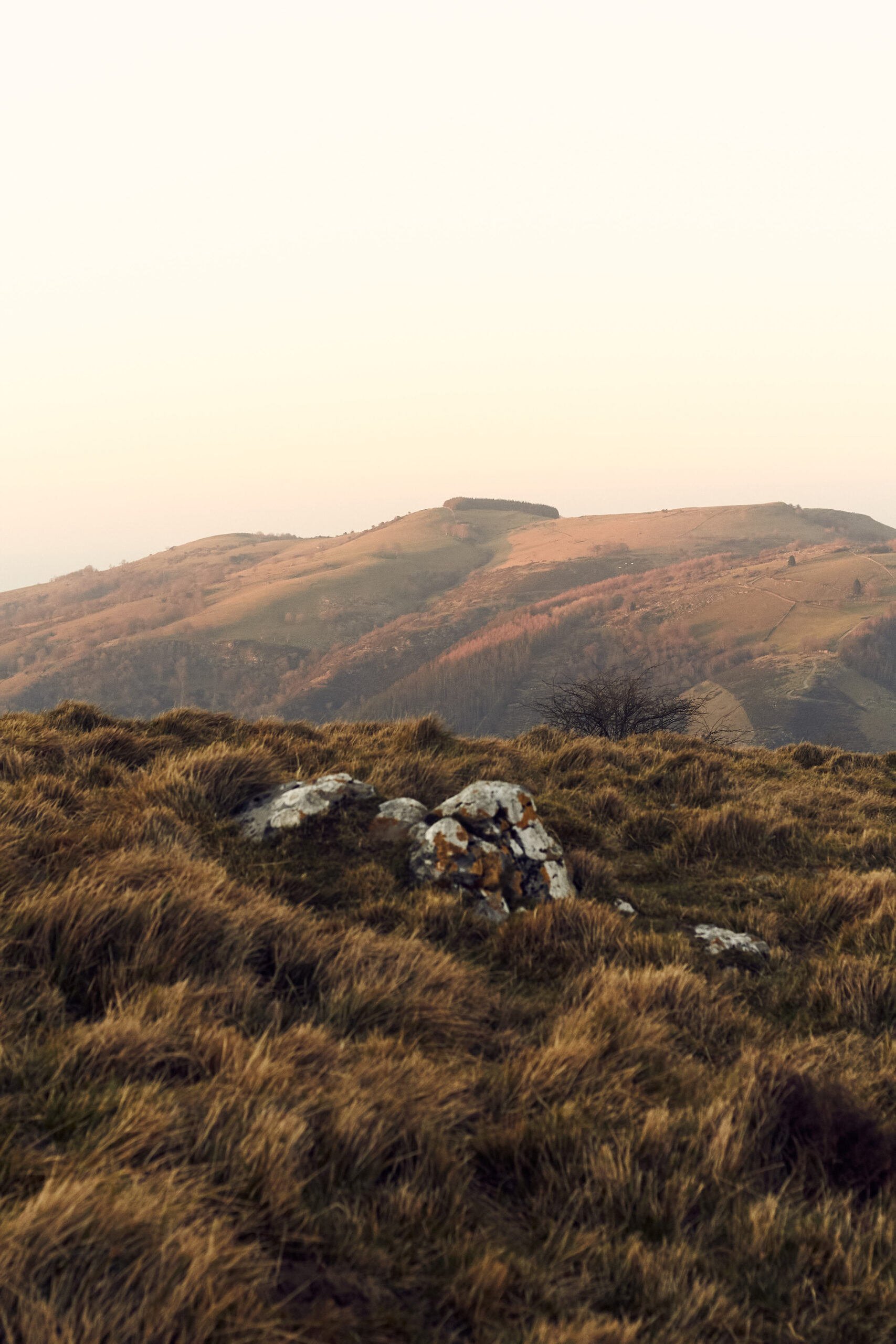 Basque hills at golden hour near San Sebastián