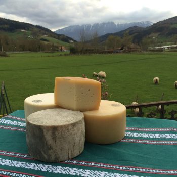 QUESO-PAISAJE-BONITA